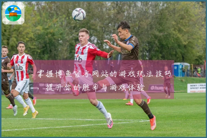 掌握博鱼官方网站的游戏玩法技巧，提升你的胜率与游戏体验