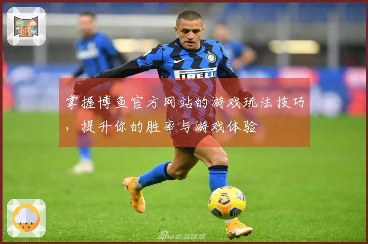 掌握博鱼官方网站的游戏玩法技巧，提升你的胜率与游戏体验