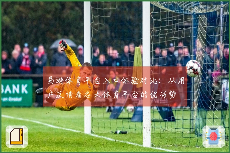 易游体育平台入口体验对比：从用户反馈看各大体育平台的优劣势