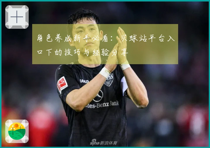 角色养成新手必看：买球站平台入口下的技巧与经验分享